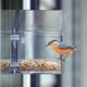 thumbnail image 2 of Alimentador de Aves NATURE'S WAY 17 cm Vista Clara Capacidad 2 Tazas, 2 of 7