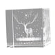 thumbnail image 3 of 3D Crystal Cube Crafts Weather Sign Cube Para La Decoración Del Día De San Valentín Elk, 3 of 5