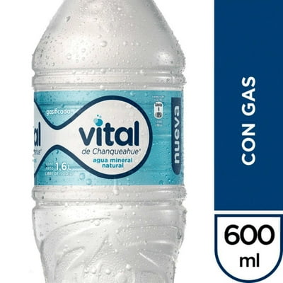 Agua Mineral Vital Con Gas Botella