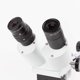 thumbnail image 4 of Microscopio Estéreo Binocular AmScope SE400-Z 10X-20X, 4 of 9