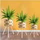 thumbnail image 3 of Set De 3 Maceteros Tejidos A Mano Jardín Decoración Jhn, 3 of 3