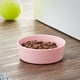 thumbnail image 2 of Plato para Perro Vibrant Life Melamina Rosado Pequeño 13 oz Antideslizante, 2 of 3