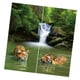 thumbnail image 4 of Juego De 2 Paneles, Decoración De Animales Adolescentes, Cortina De Ventana Con Impresión 3D, Cortinas De Tigre, 4 of 5