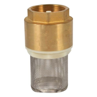 Genérico - Valvula De Pie 2 Rejilla Acero Inoxidable China(Chupador)