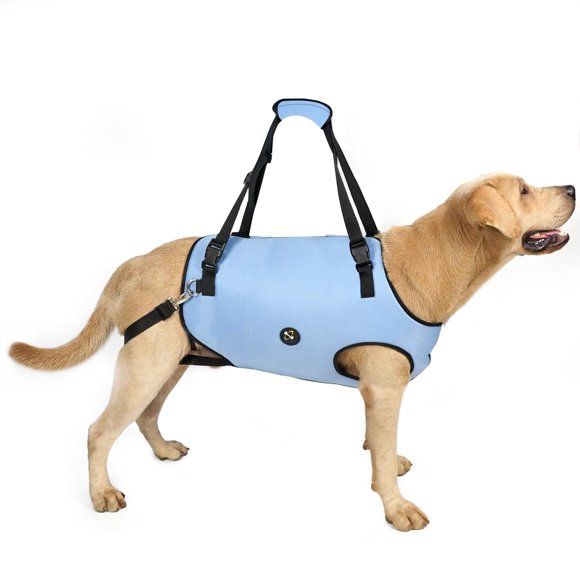 Arnés para levantamiento de perros Coodeo, soporte acolchado ajustable, azul, 2XL