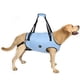 thumbnail image 1 of Arnés para levantamiento de perros Coodeo, soporte acolchado ajustable, azul, 2XL, 1 of 6