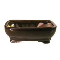 Bonsai Boy - Maceta Bonsaiboy De Cerámica Rectangular Negra De 15 X 12 X 5 Cm