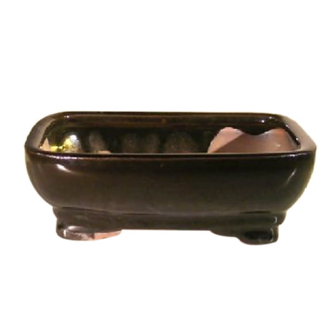 Bonsai Boy - Maceta Bonsaiboy De Cerámica Rectangular Negra De 15 X 12 X 5 Cm