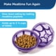 thumbnail image 2 of Juguete para perros PetSafe Busy Buddy Kibble Nibble Slow Feeder, 2 of 6