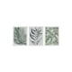 thumbnail image 1 of Set 3 Cuadros 30X40 Mad C/Lam Blanco, 1 of 2