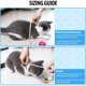 thumbnail image 2 of Collar Isabelino Depets Ajustable para Gatos, 2 of 3