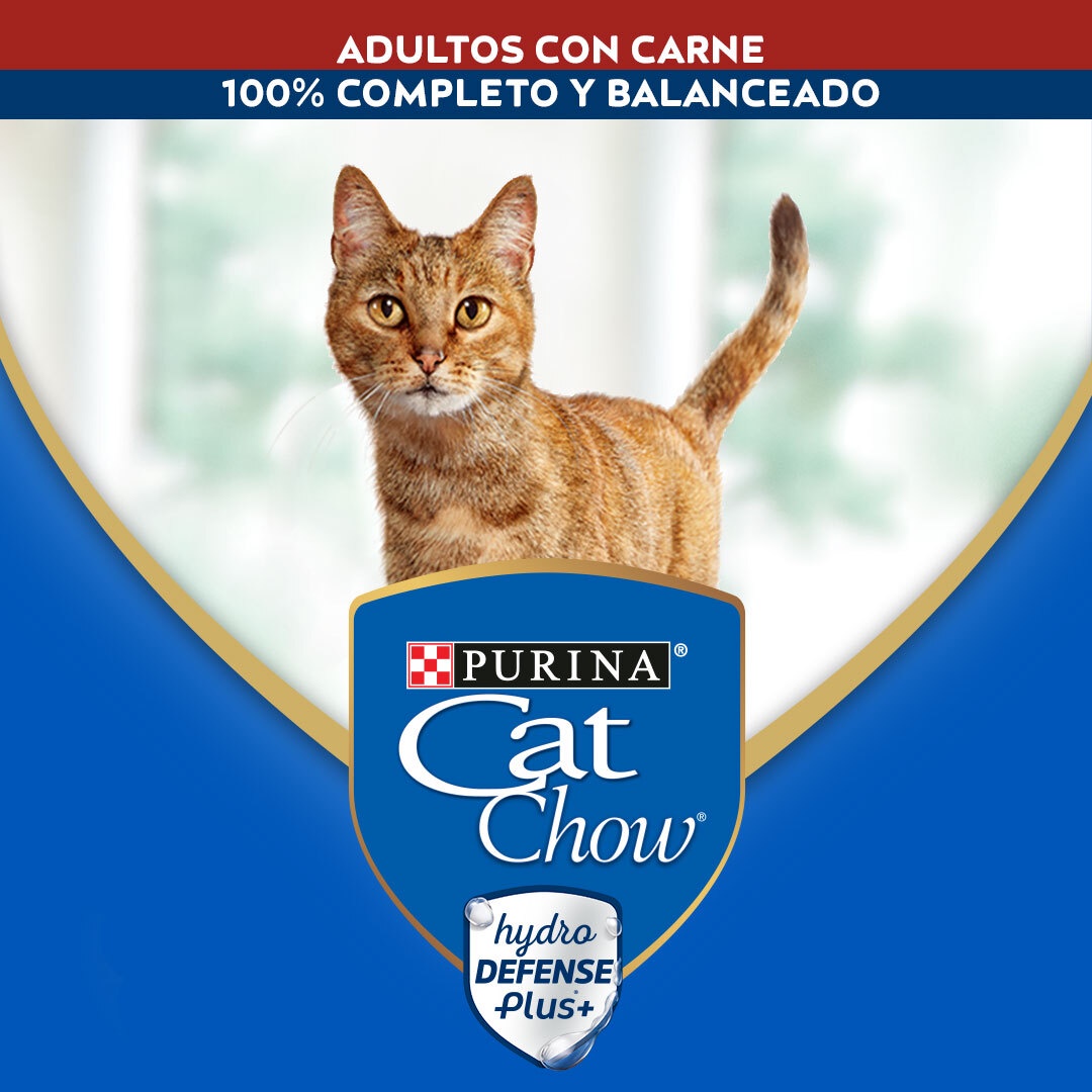 Pack Alimento Húmedo Para Gato Cat Chow® Adultos Carne Sobre 85G X15