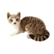 thumbnail image 4 of Encantador Animal De Peluche Cómodo Adornos Para El Hogar Gato Juguete De Peluche Para Adultos 40cm Gato Gris, 4 of 5