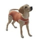 thumbnail image 3 of Body de Cobre Tradicional para Perros y Gatos Postoperatorio Talla 3, 3 of 6