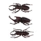 thumbnail image 3 of 3 Uds. De Figuras De Insectos De Escarabajo Surtidos Artificiales, Juguetes Para Ni?os, Coleccionables De Regalo, 3 of 6