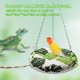 thumbnail image 3 of Cama colgante para reptiles Slepceub de 30 cm – Hamaca para lagartos, 3 of 6
