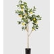 thumbnail image 1 of Limonero limón planta artificial árbol decoración interior 150mt, 1 of 6