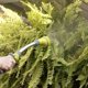 thumbnail image 2 of Varita de Riego The Relaxed Gardener 38 cm con 8 Patrones de Rociado, 2 of 9