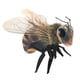 thumbnail image 2 of Finger Puppet Folkmanis Mini Bee negro y naranja-amarillo, 2 of 5