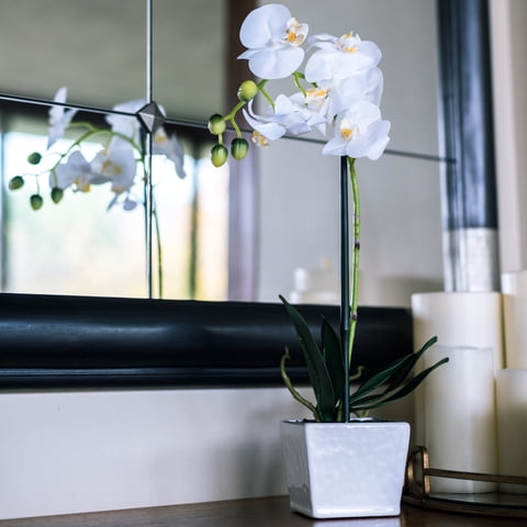 Vadell Home - Orquídea Blanca 51 Cm En Macetero