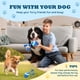 thumbnail image 2 of Juguete interactivo para perros HVUATQ Wicked Ball 2026 para perros medianos y grandes, 2 of 7
