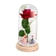 thumbnail image 2 of Regalos De Flores De Rosas Decoración Romántica De San Valentín Rosa Iluminada En Cúpula De Vidrio Propuesta De Base De Madera, 2 of 3
