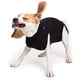 thumbnail image 3 of Traje de recuperación Suitical para cirugía de perros M+ negro, 3 of 8