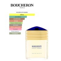Boucheron Pour Homme 100 Ml Edt Hombre