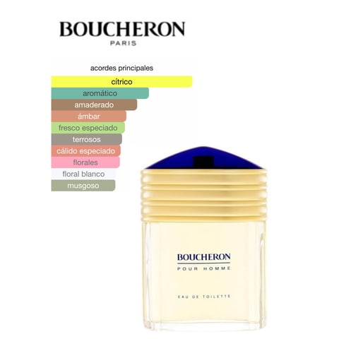 Boucheron Pour Homme 100 Ml Edt Hombre