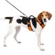 thumbnail image 1 of Arnés para perros PetSafe EasySport ajustable, acolchado, naranja, grande, 1 of 6
