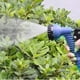 thumbnail image 3 of Manguera De Jardin Flexible Expansible Resistente Hogar Lau, 3 of 3