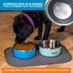 thumbnail image 5 of Tazón para Perro Master Pet Supply 1900 ml Acero Inoxidable, 5 of 8