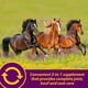 thumbnail image 4 of Suplemento Farnam Horse Health Joint Combo para pezuña y abrigo, 8 libras, 4 of 9