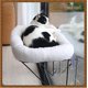 thumbnail image 2 of Percha para ventana con forma de gato Zakkart, 100% con soporte metálico y cama, 2 of 6