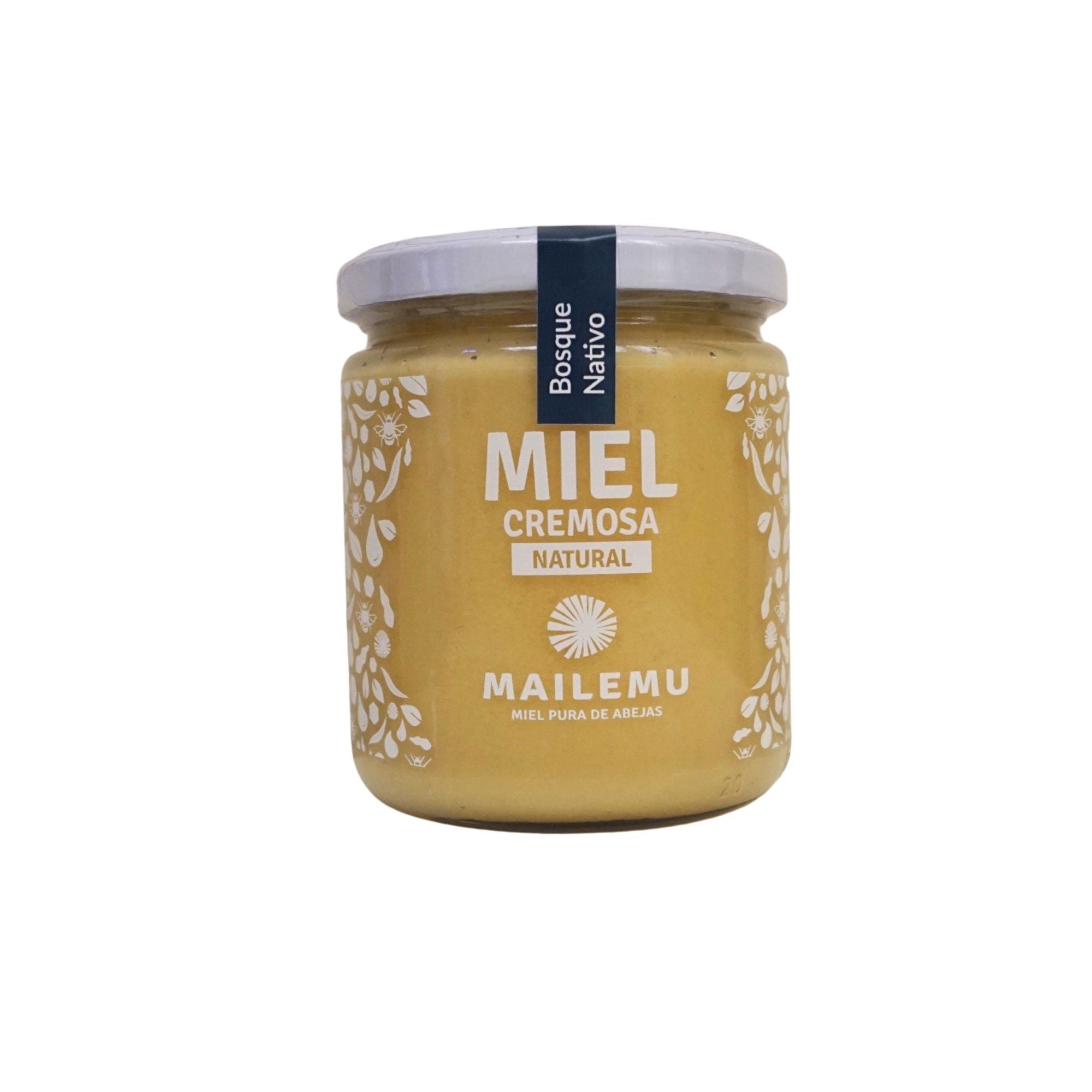 Miel Pura De Abejas Bosque Nativo 550 g Mailemu
