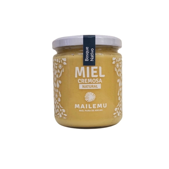 Miel pura de abejas Bosque Nativo, 550 g