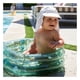 thumbnail image 4 of Piscina Inflable Dinosaurios Swim Essentials, 4 of 4