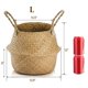 thumbnail image 2 of Cesta Yesland para almacenamiento de plantas de hierba marina tejida, 30 x 27 cm, tamaño L, 2 of 7