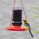 thumbnail image 2 of Alimentador de Néctar Perky-Pet para Oriole 946 ml 1 Puerto, 2 of 9