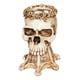 thumbnail image 5 of Maceta De Calavera Modelo Escultórico Macetero De Plantas Suculentas Decoración Del Hogar Blanco, 5 of 5