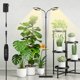 thumbnail image 1 of Lámpara de cultivo SDOVUERC de espectro completo con soporte para plantas de interior, 1 of 7