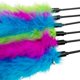 thumbnail image 4 of Varita para gato CATENEED 48 cm Juguete de plumas (6 unidades), 4 of 6
