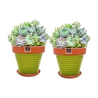 Mestiza - Set De 2 Maceta Kony 19Cm Terra Verde Y Sus Platos