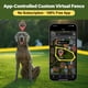 thumbnail image 3 of Collar Inalámbrico Gps Para Perros Cerca Virtual Sin Cuota Mensual Con App, 3 of 9