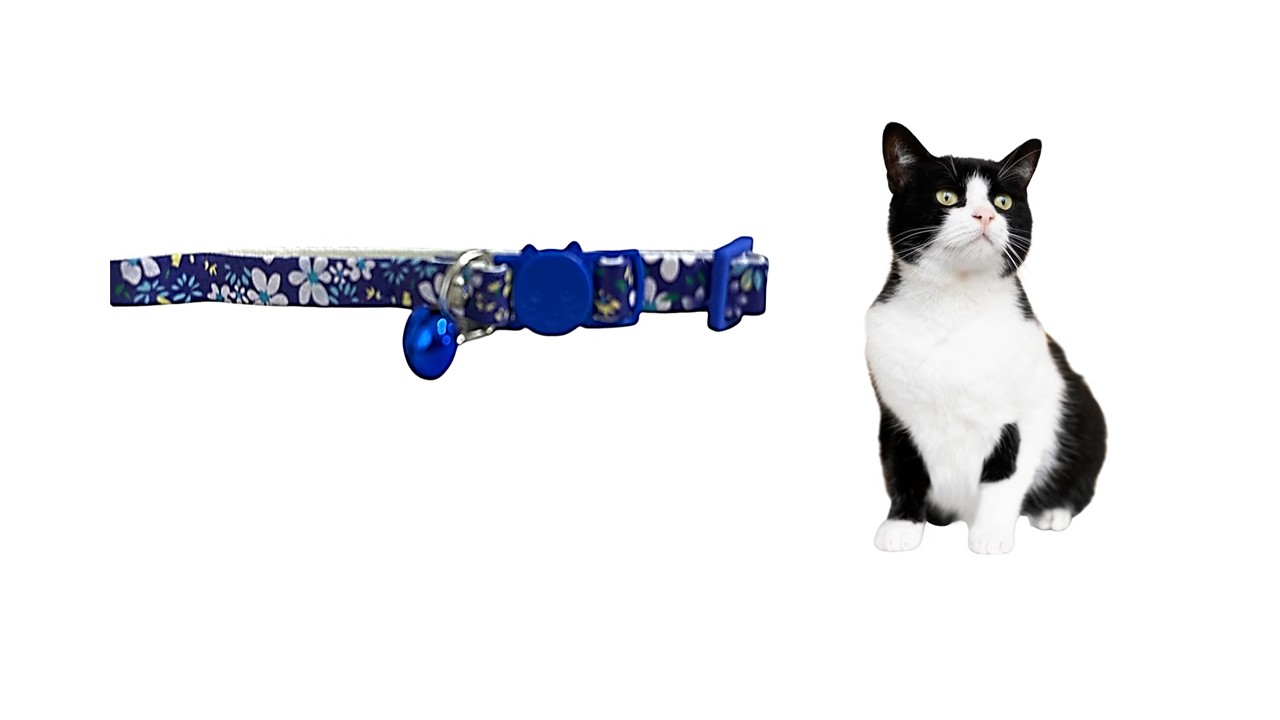 Marben Pets - Collar Para Gato Gatita Anti Ahorque Diseño De Flores Azul