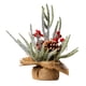 thumbnail image 2 of Árbol De Navidad De Mesa Mini árbol De Navidad Para Dormitorio Suministros Para Fiestas Estante Estilo A, 2 of 3