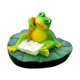 thumbnail image 5 of Figura De Rana Flotante Para Estanque, Regalo, Decoración Para Jardín, Patio Y Estanque., 5 of 5