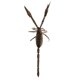 thumbnail image 5 of Insectos De Arcilla Altamente Simulados Animales Aleatorios Modelo De Color Juguetes Escorpión, 5 of 5