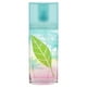 thumbnail image 2 of Perfume Elizabeth Arden Brisa De Coco Y Té Verde EDT 100ml, 2 of 4