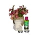 thumbnail image 2 of Set aceite aromático con portavelas, 2 of 3
